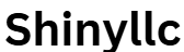 shinyllc.shop